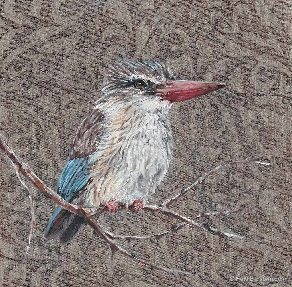 Brown Hooded Kingfisher