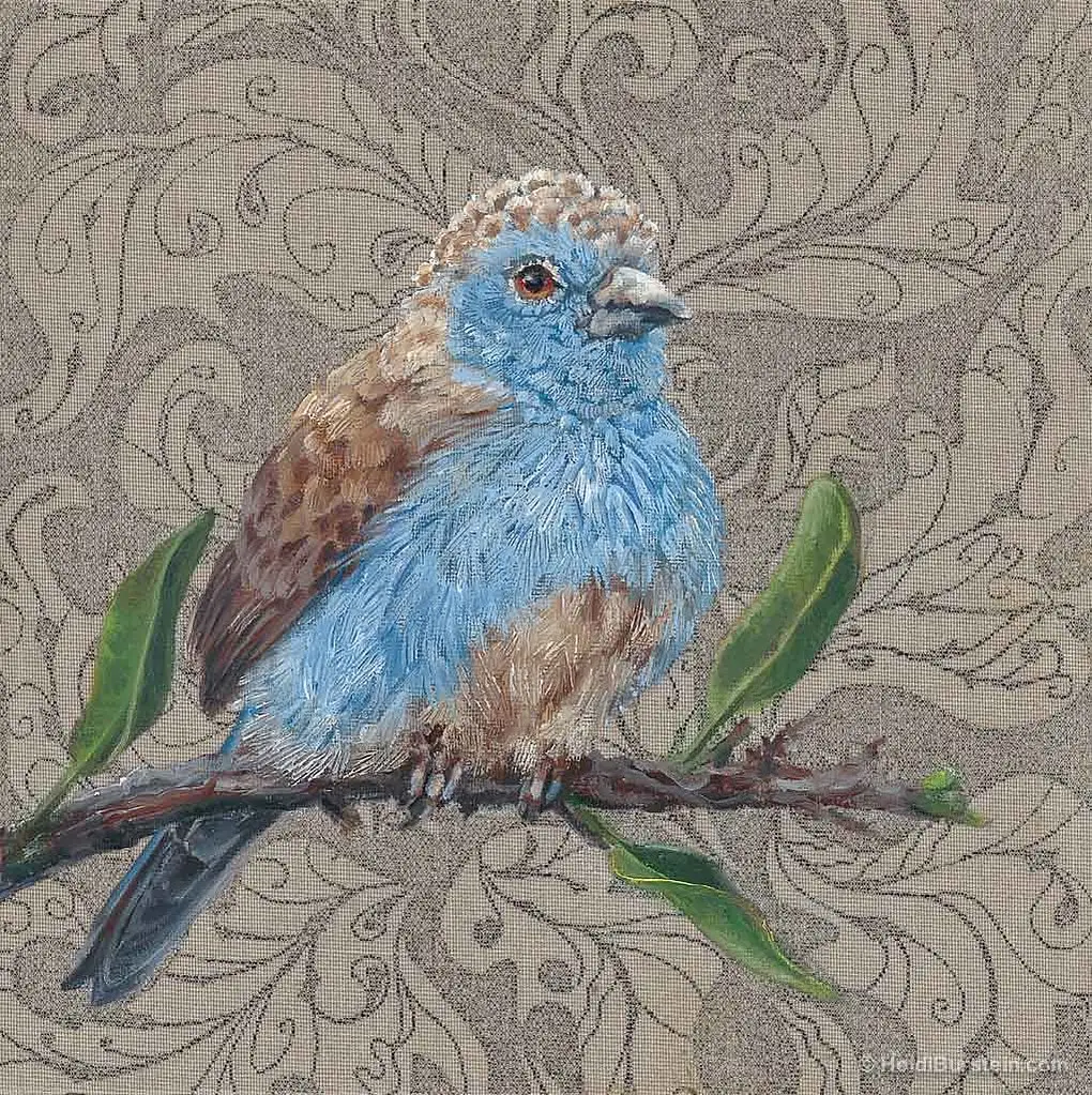 Blue Waxbill #2