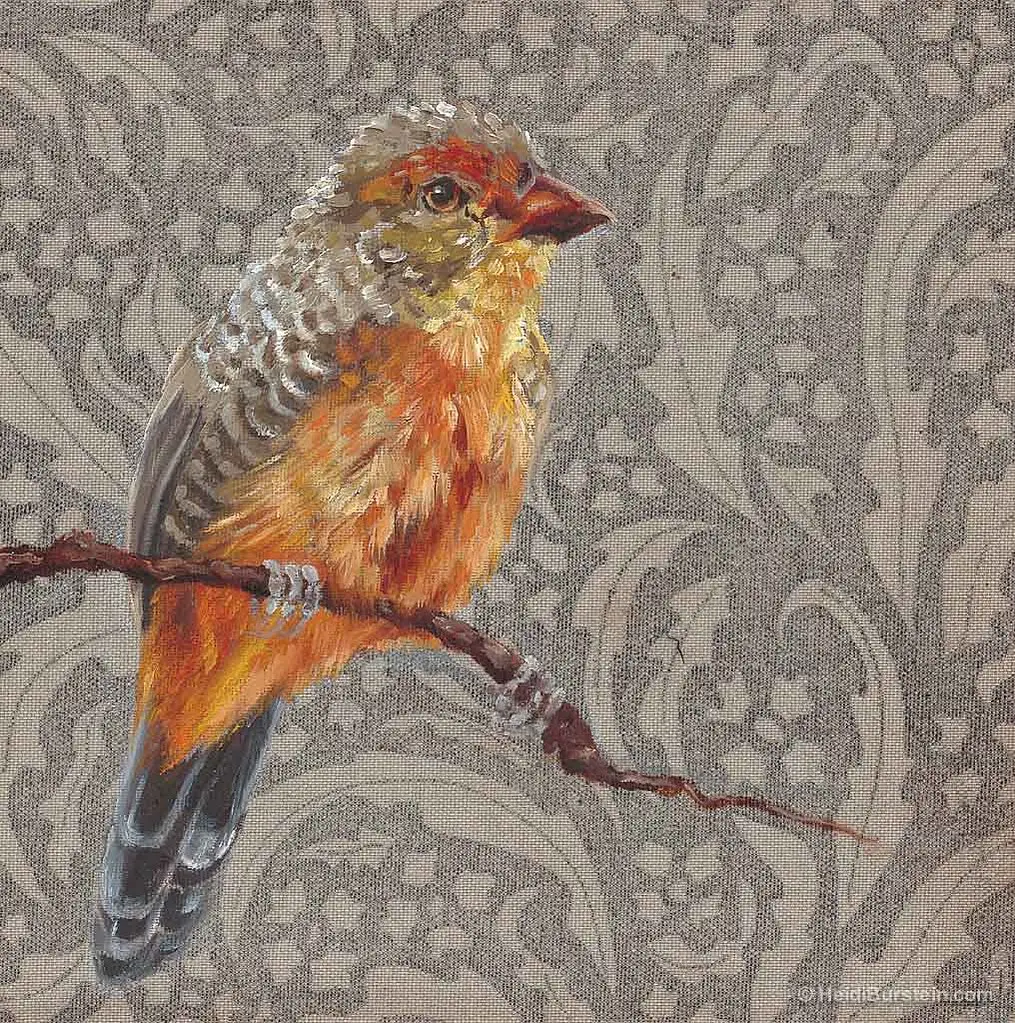 Orange Breasted Waxbill