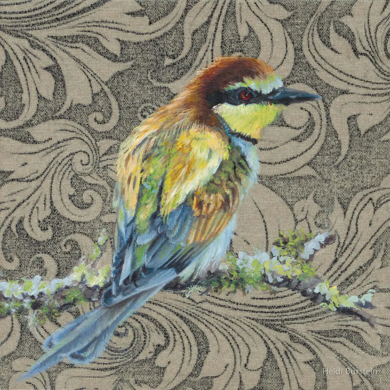 European Bee Eater
