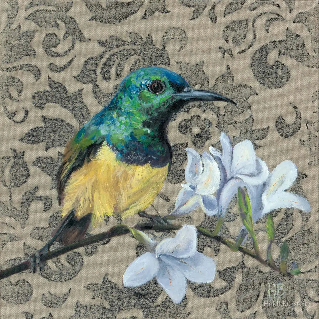 Collared Sunbird