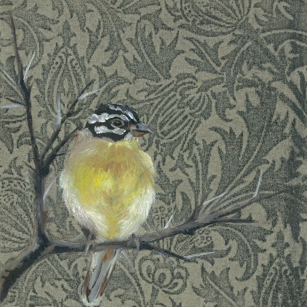 Yellow Breasted Bunting