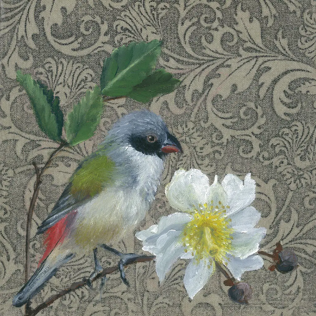 Waxbill