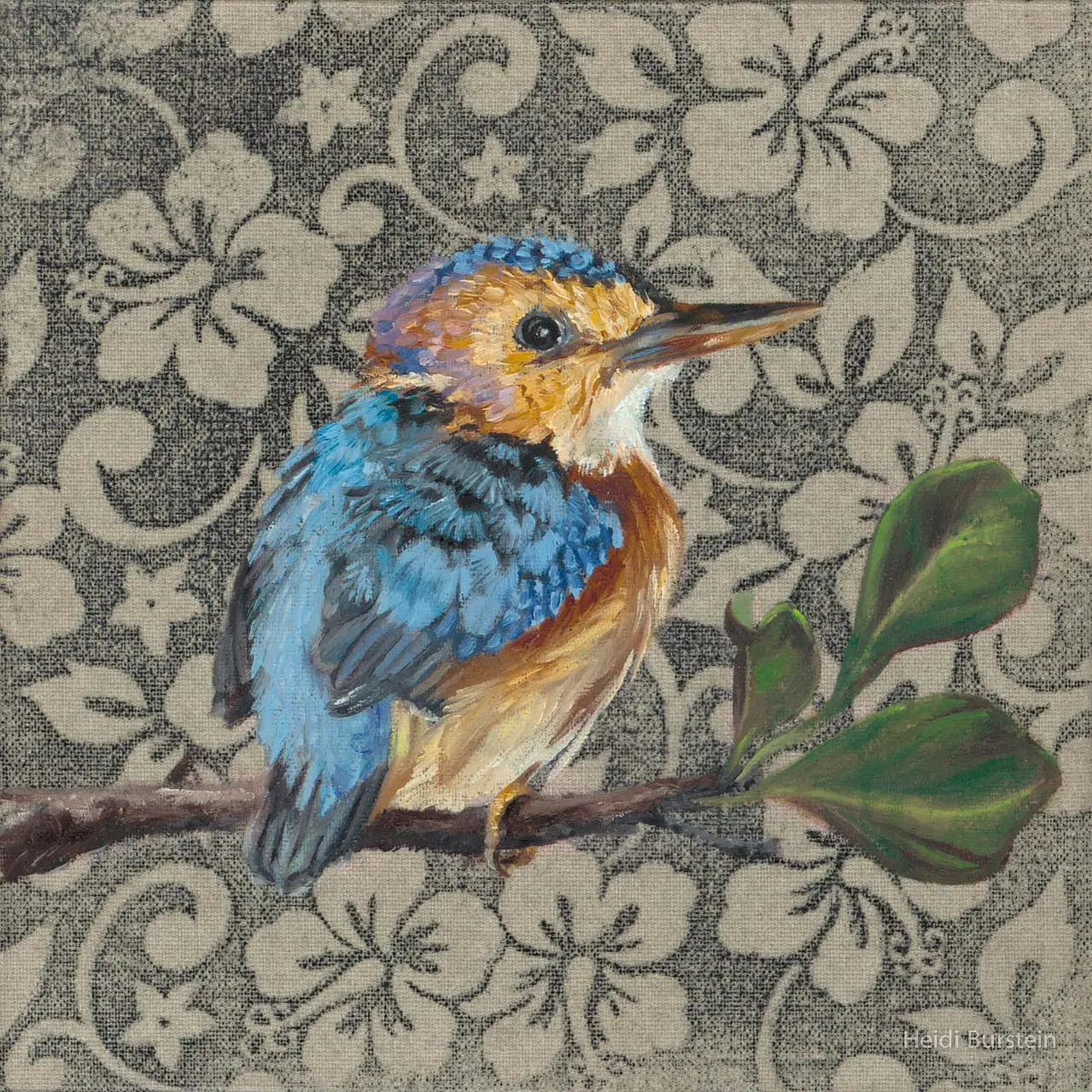 Pygmy Kingfisher