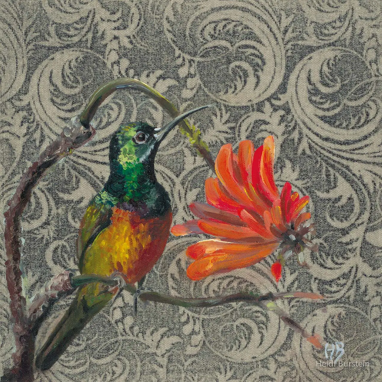 Orange Breasted Sunbird