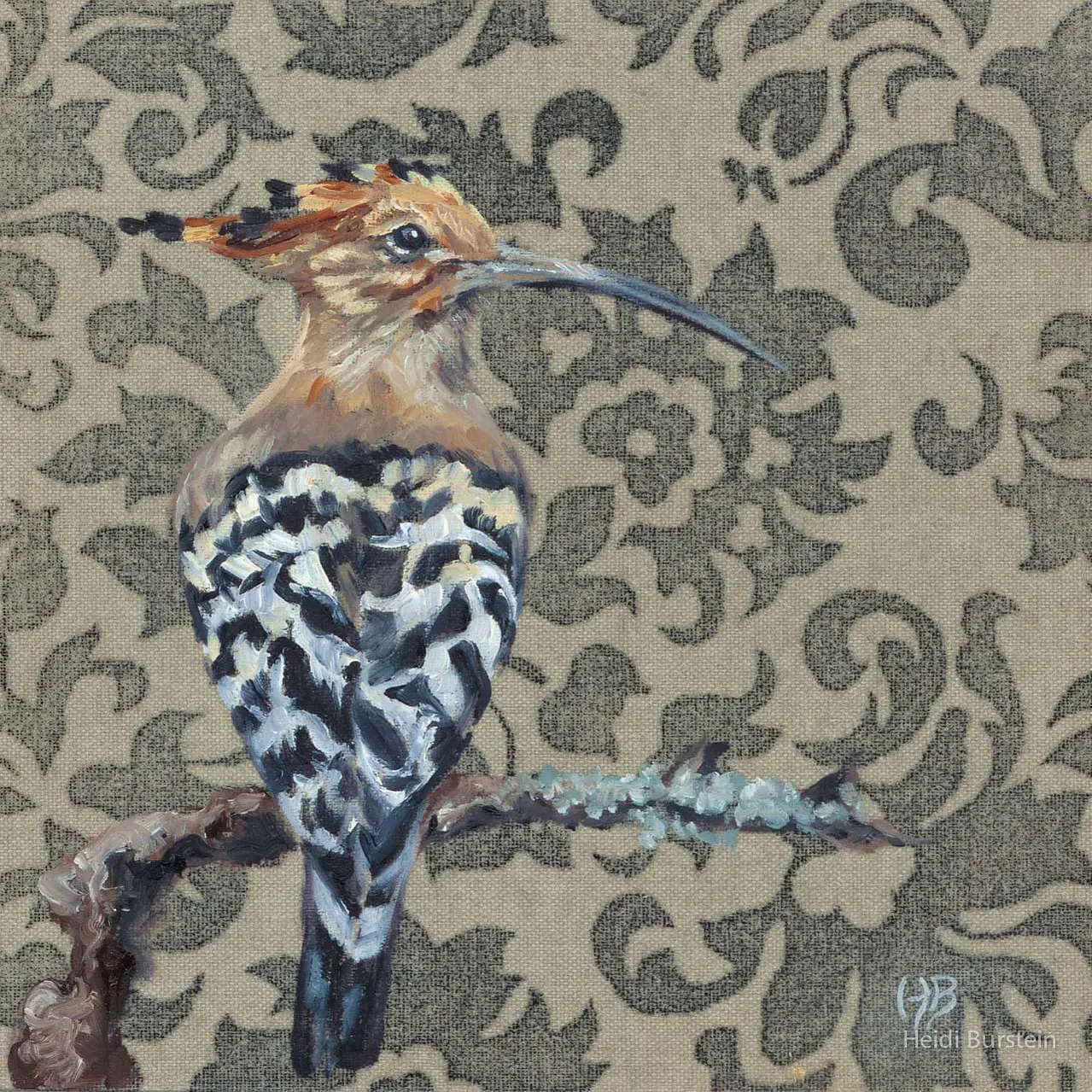 Hoopoe