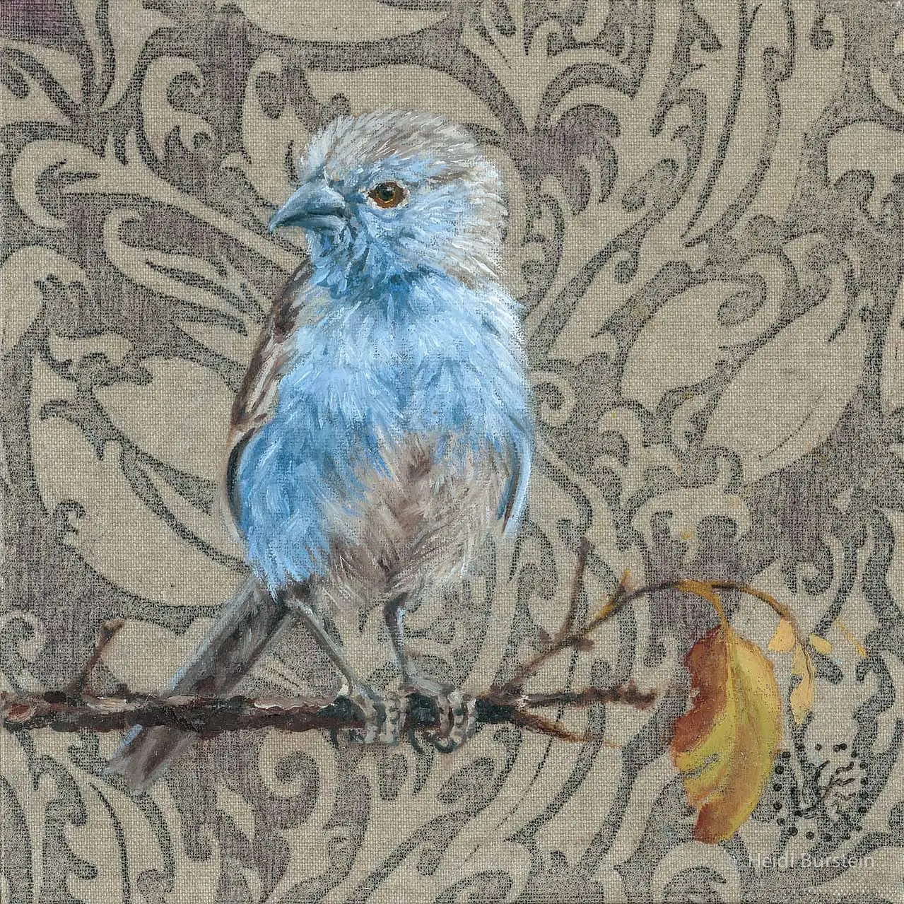 Blue Waxbill