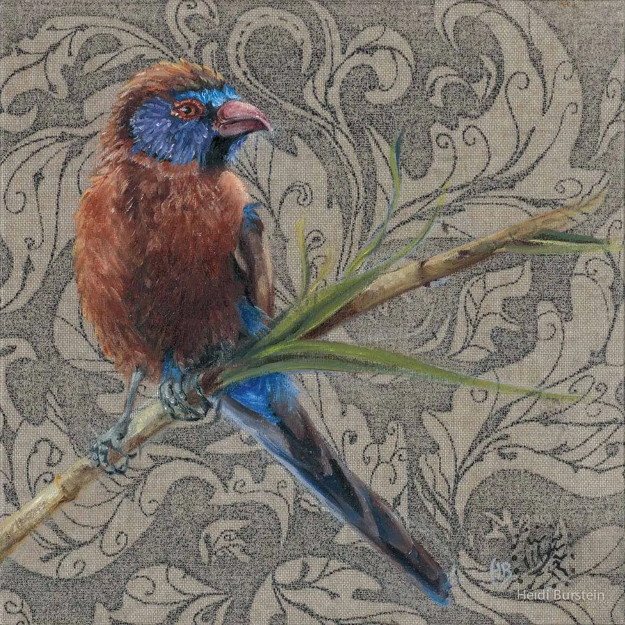 Violet Eared Waxbill